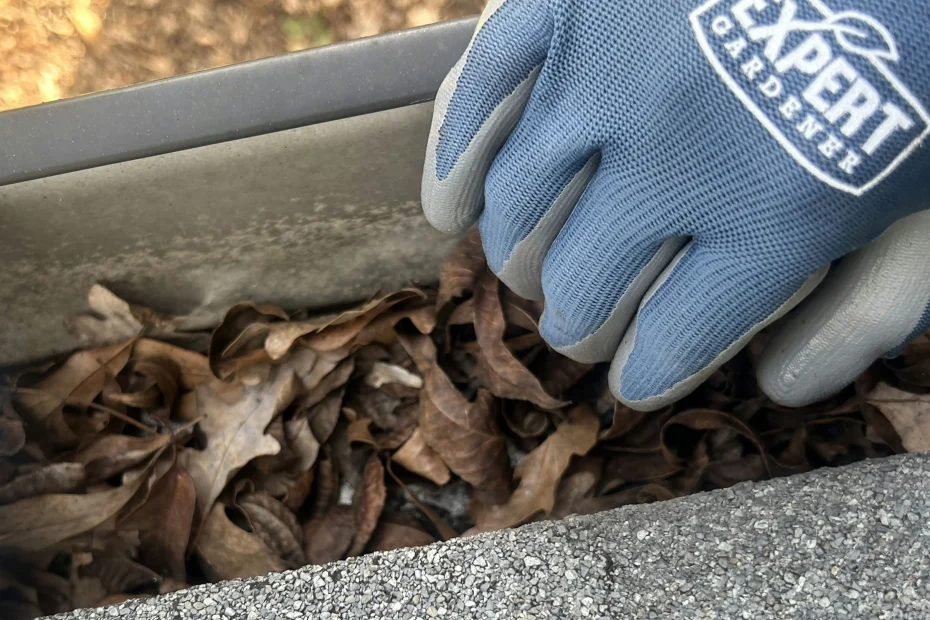 Gutter Cleaning Vestavia Hills